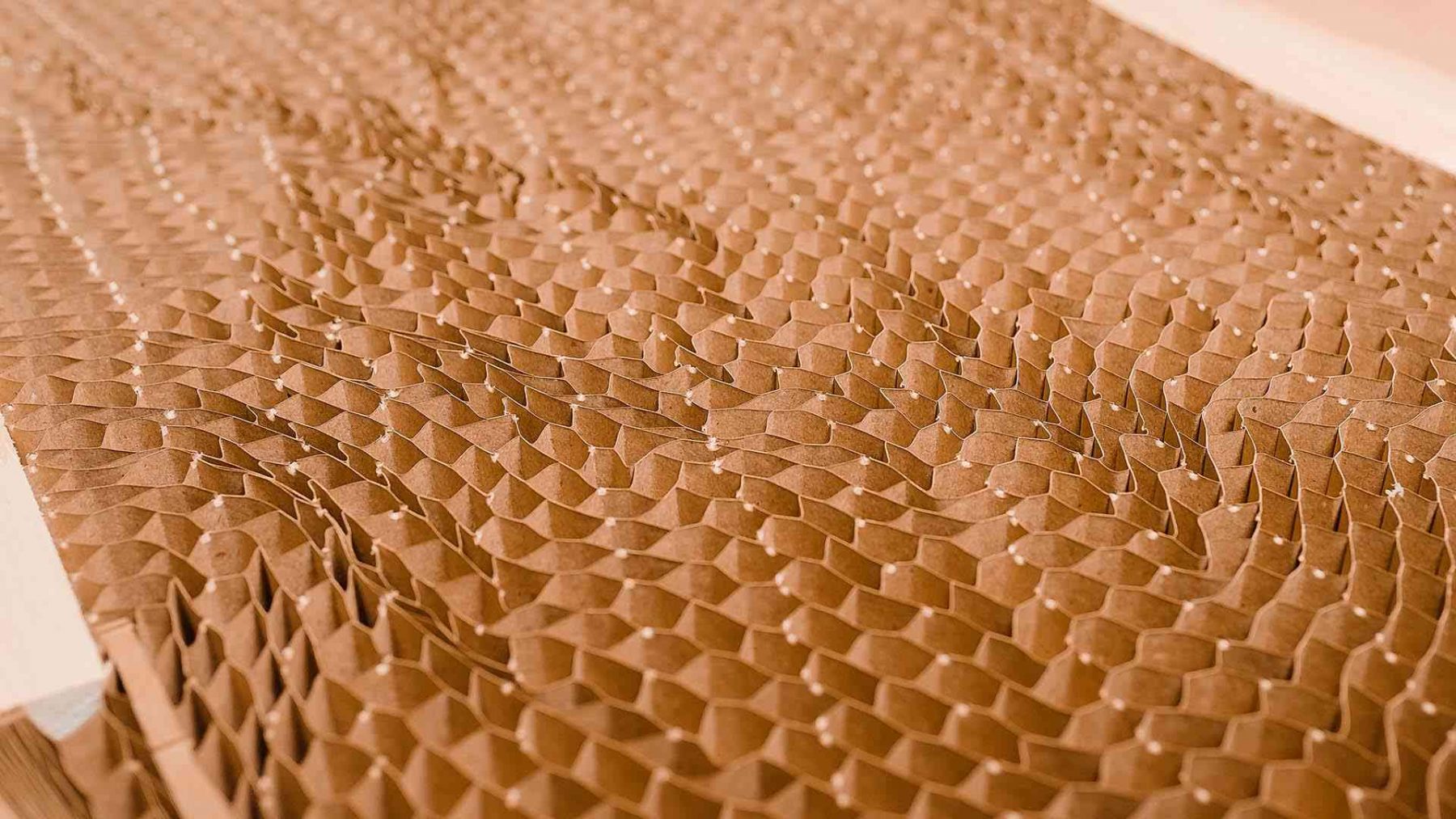 HONEYCOMB: La maravilla de la ingeniería de las abejas en nuestras Puertas PET