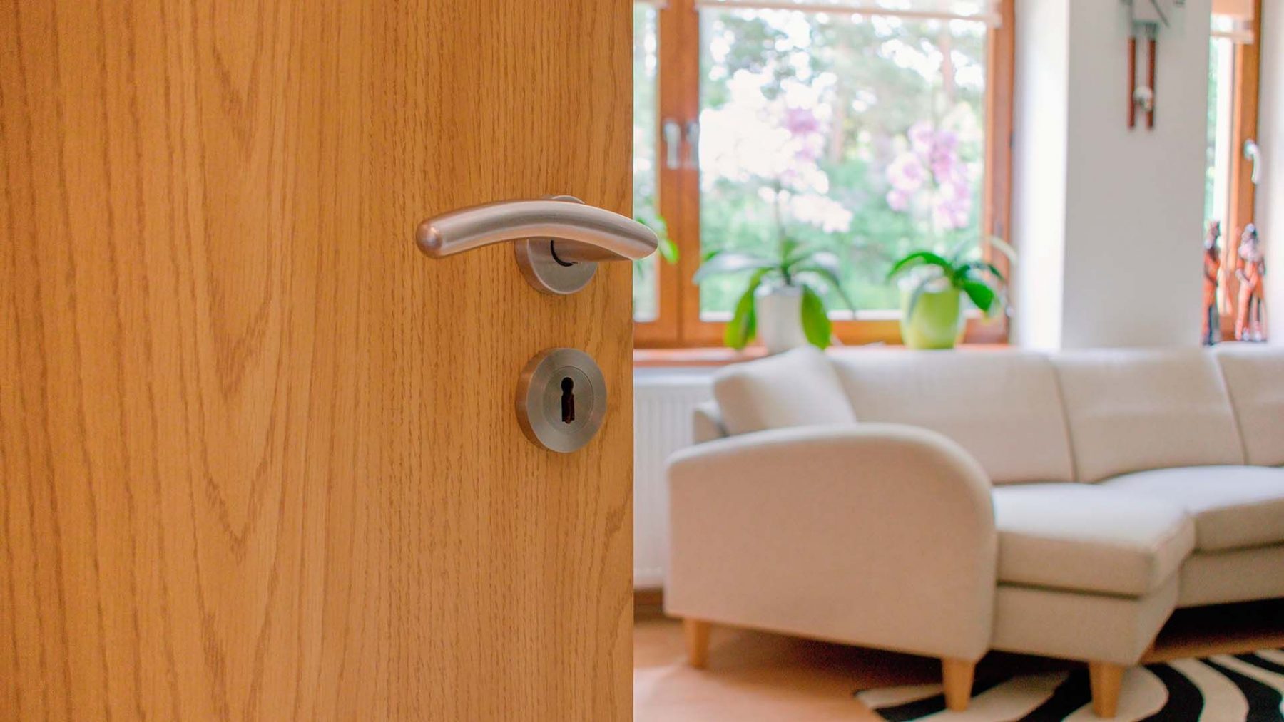 Tipos de chapa para puertas: ¿Cuál es la mejor opción para tu hogar?